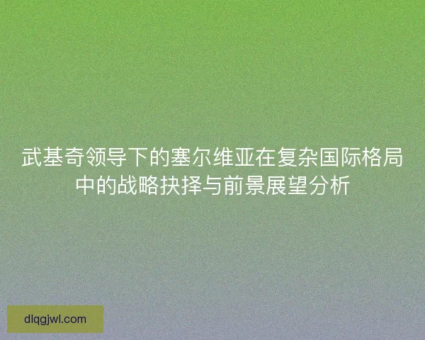 武基奇领导下的塞尔维亚在复杂国际格局中的战略抉择与前景展望分析